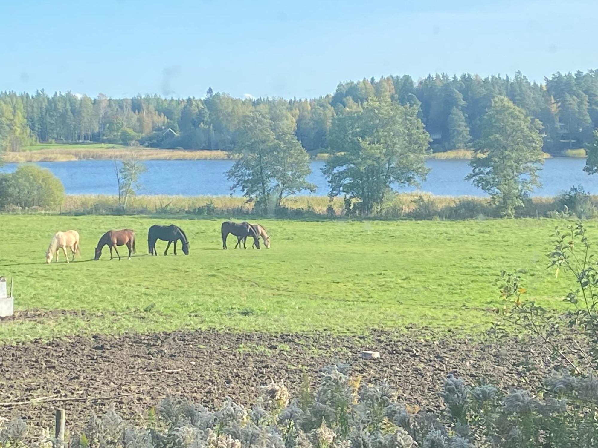 Ulvsby Ranch Guest House Karlstad Bagian luar foto