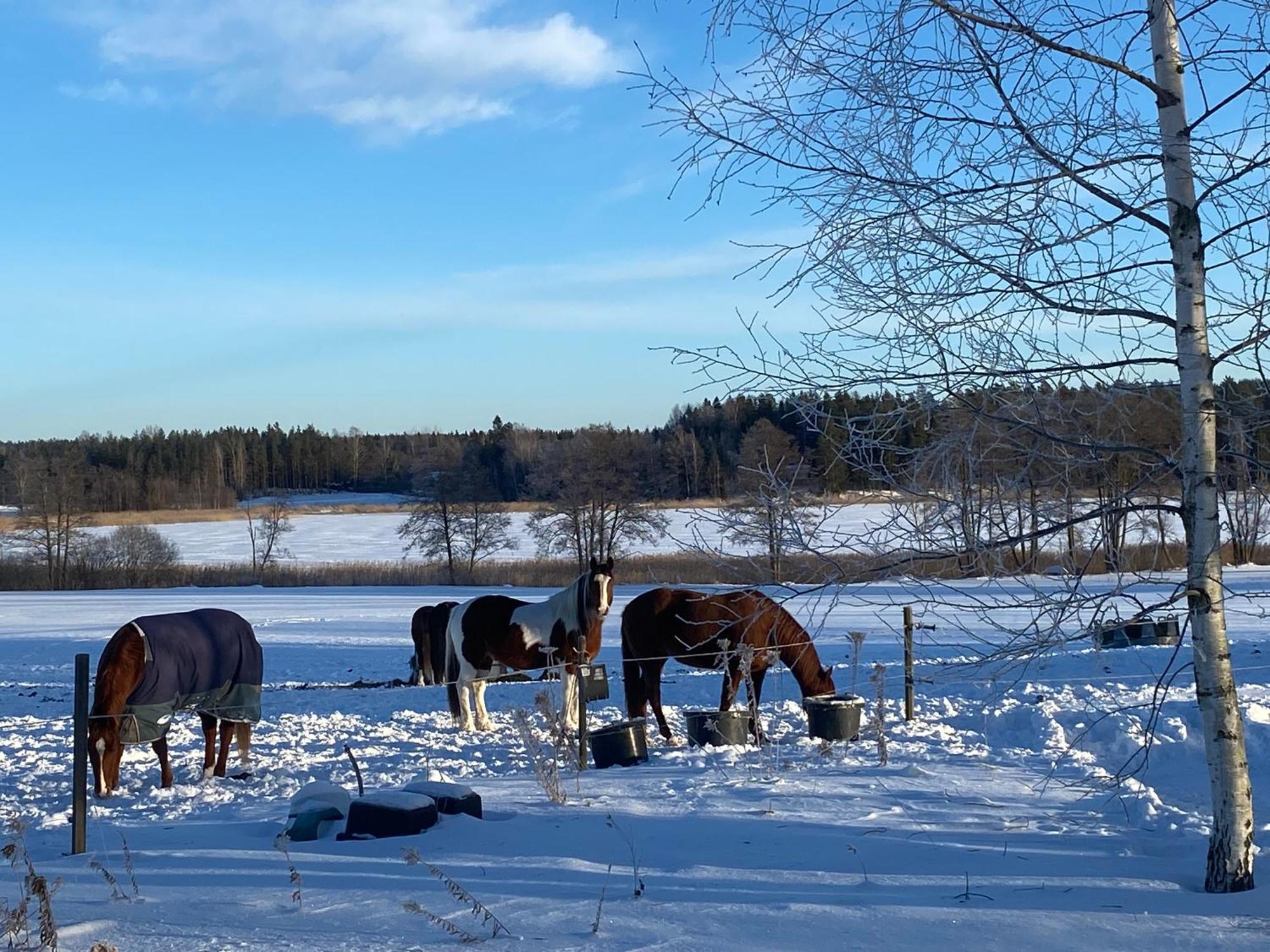 Ulvsby Ranch Guest House Karlstad Bagian luar foto